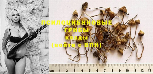 винт Вяземский