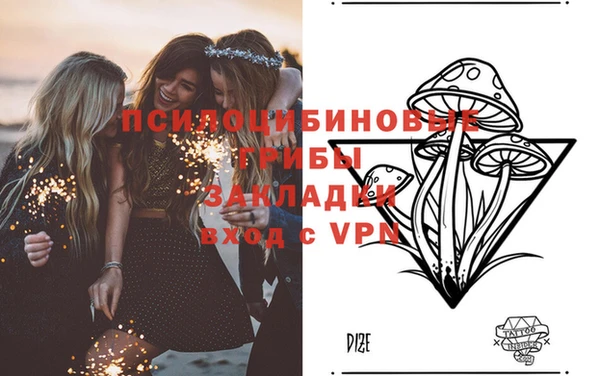 винт Вяземский