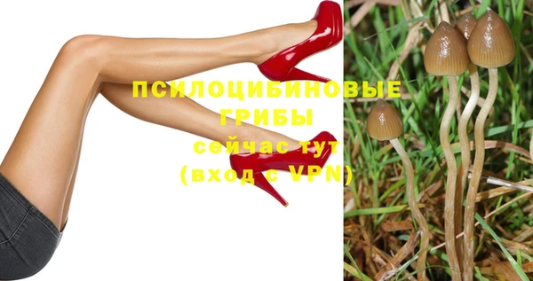 винт Вяземский