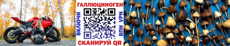 Галлюциногенные грибы ЛСД Злынка