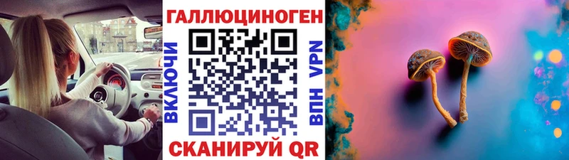 Галлюциногенные грибы Psilocybe  Купить  Злынка 